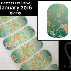 Jamberry January 2016 Host Exclusive Nail Wraps Half Sheet